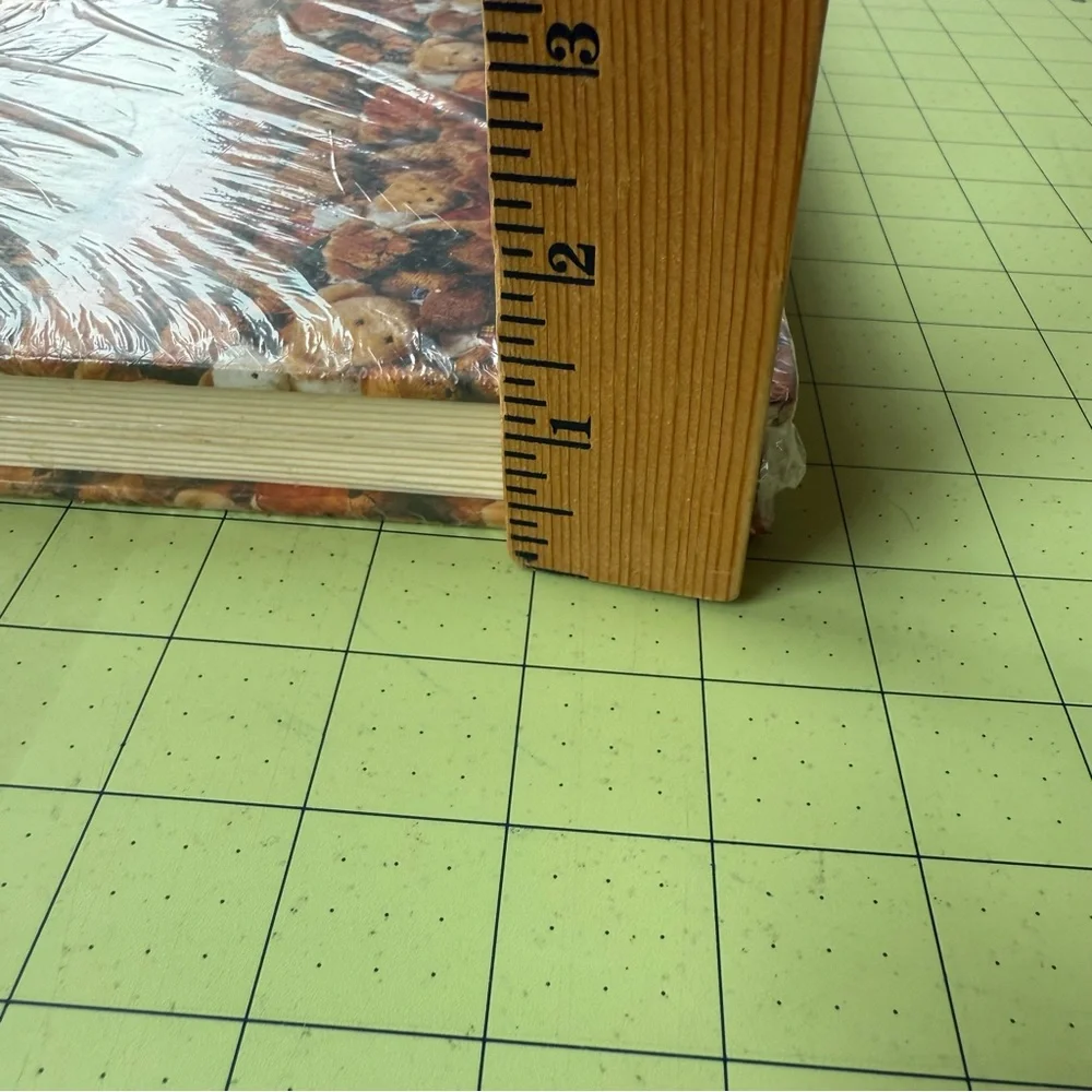 Vintage 90s Y2K Teddy Bear Expandable File Folder Organizers 2 pcs NIP